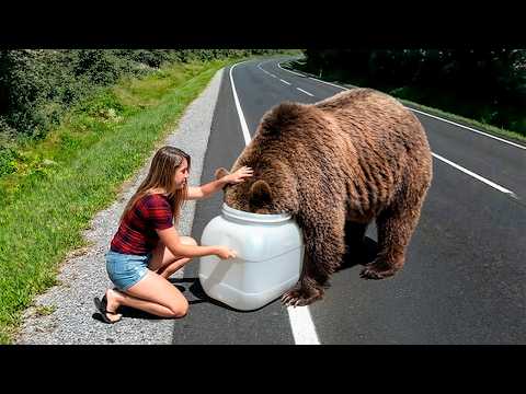 Most Heroic Animal Rescues Caught on Camera !