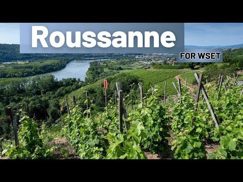 Roussanne Grape Explained | Rhône Valley White Wine, Flavours, Marsanne & Regions