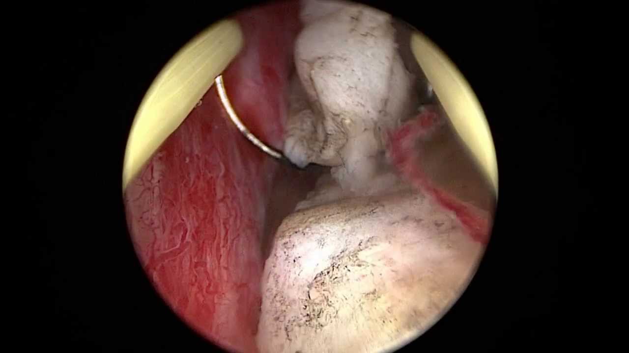 Jaime Montes Bolaños Cacho-4
