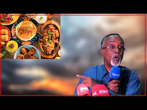 Dadka Shirkadaha Haystaa Waa Sidii Nin Hudheel Haysta Bariis Iyo Hilib Iibinaya" Wasiirka Macdanta