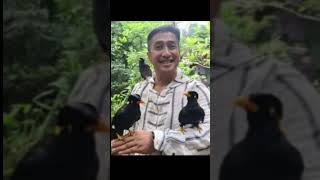Download lagu 'Portrait of Irfan Hakim's Home Aviary: A Mini Forest Inhabited by Hundreds of Animals' mp3