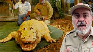 Exploring GATORLAND! 🐊 GIANT Gators Everywhere! 😱