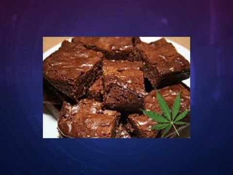 download lagu mp3 mp4 Brownies And Mushrooms, download lagu Brownies And Mushrooms gratis, unduh video klip Brownies And Mushrooms