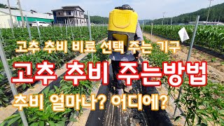 고추 추비 주는 방법 1,2차 비료 선택 주는 기구 [고추재배방법]