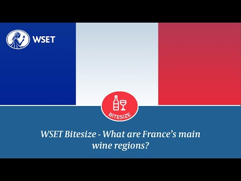 WSET Bitesize - What are France's main wine regions?