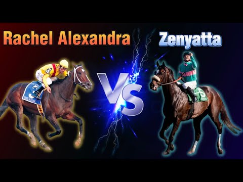 Rachel Alexandra Vs Zenyatta Who Would Win