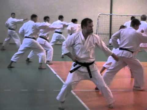 Seiryu Kata Asai IJKA. Dormenko Shihan 7 Dan.mpg