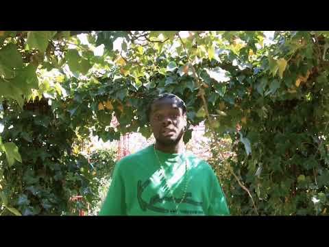 Biza Blingza- Aint No Blunt (Promo Clip)