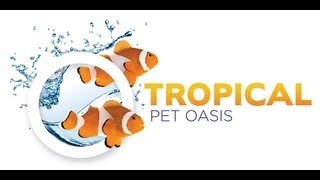 preview picture of video 'Video Tour of Tropical Pet Oasis - Parker, Colorado'
