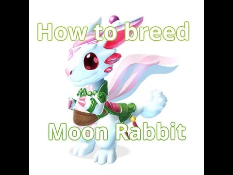 How to breed Moon Rabbit Dragon Mania Legends