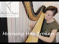 Morning Has Broken  - harp cover - Harfe - Barbara Regnat