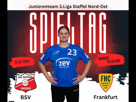 16. Spieltag in der 3. Bundesliga Staffel Nord-Ost - BSV Sachsen Zwickau JT gg. Frankfurter HC
