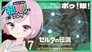寄り道せずに眼(まなこ)探しできるかな？ヘンテコ工作で悲しきモンスターを爆誕させる九州の蛮族｜シリーズ完全初見【ゼルダの伝説 ティアーズ オブ ザ キングダム｜ティアキン｜TotK】#17