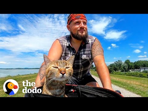 Guy Finds A Stray Kitten, Bikes Around The World With Her For Two Years | The Dodo Soulmates
