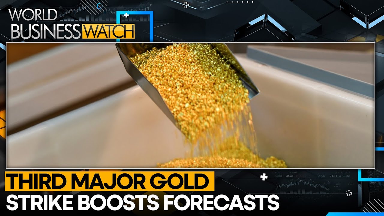 Xinjiang Survey Reveals Rare 1,000-Tonne Gold Belt Discovery | WION Business Watch 2025