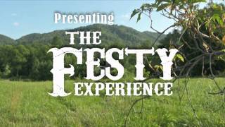 Presenting The Festy Experience