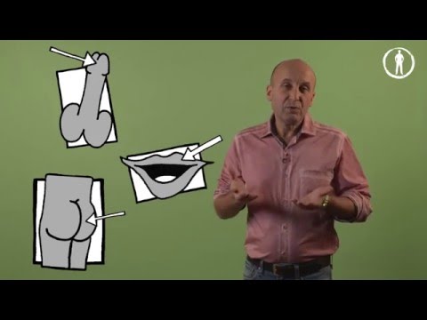Bei chronischen Prostatitis, wenn es Schmerzen in den Hoden Erforderliche Verfahren nach einem Prostata-Biopsie