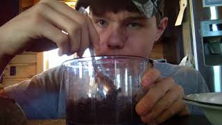 How to make homemade tea dip\chew