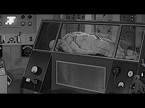 Curse of the Fly (1965) Teleportation Accident: What Happens When "Beam Me Up Scotty" Goes Wrong.