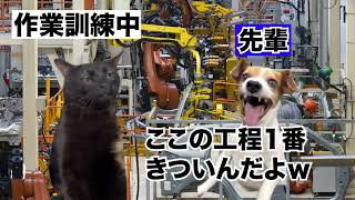 期間工の仕事はきつい06話【猫ミーム】