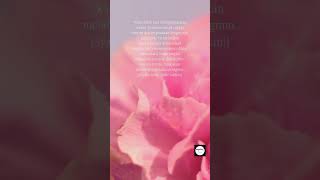 Download lagu renungan senja | kata bijak syekh abdul qodir al jailani #shorts #nasihatdirichannel #storywa mp3