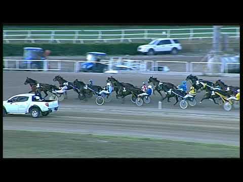 Trotto 28/08/2020 - 1ª corsa