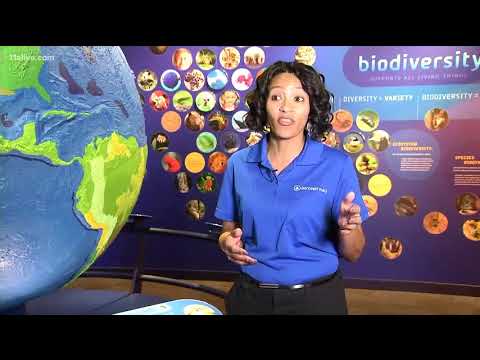 Science on the Rocks ' Play like a kid, party like an adult