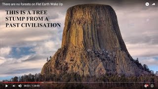 There are no forests on Flat Earth Wake Up (Mirrored)