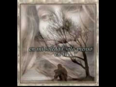 para una maravillosa persona-zarela