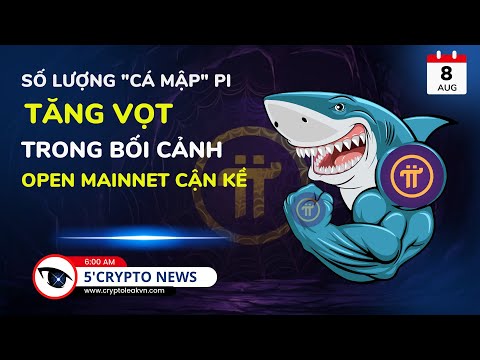 Số lượng "Cá Mập" Pi Tăng Vọt Trong Bối Cảnh Open Mainnet Cận Kề