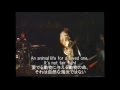 字幕付'88 ELECTRO HIPPIES "Could you look me in my eyes"@Leeds(U.K.)