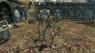 The Elder Scrolls V: Skyrim. Скелеты охраняют Рифтен. Прохождение от SAFa