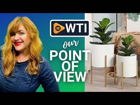 LuxenHome Planters - WTI product video review