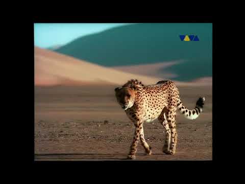 EMMANUEL TOP - Acid Phase (kai tracid mix)(2001) viva polska HD