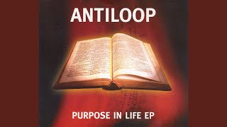 Purpose In Life (Earthbound Remix)