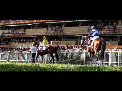 THE DUCHESS OF YORK CUP 2017 (Teaser Video)