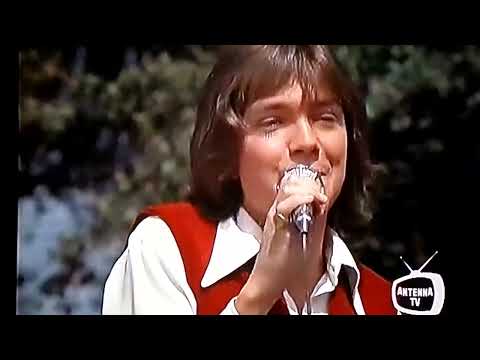 Plawson8 Chemical Spill; The Partridge Family / Breaking Up Is Hard To Do  * SAM 1245