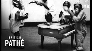 Jungle Rhythm (1934)