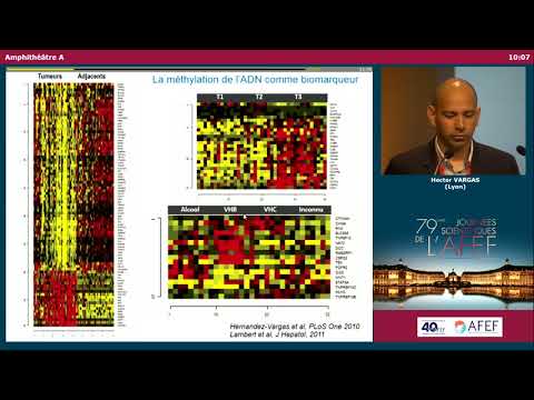 DNA methylation deregulation in hepatocellular carcinoma... - H. VARGAS