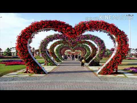 """""Sinthiya Jannat Sneha ... ***&&&***...Rifatullah A-L Rafin"""""