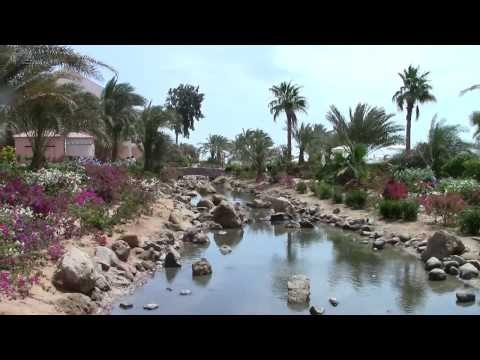 Отель Moevenpick Resort & Spa El Gouna 5* .