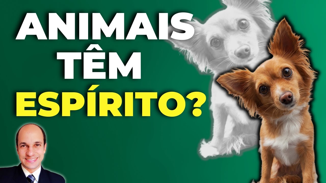 Os ANIMAIS têm alma ou espírito assim como nós seres humanos? O que a Bíblia diz?