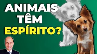 Os ANIMAIS têm alma ou espírito assim como nós seres humanos? O que a Bíblia diz?