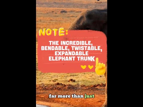 The incredible, bendable, twistable, expandable