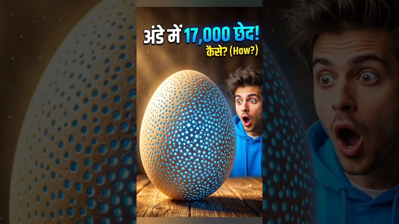 में होते हैं 17,000 छेद! 😱 फिर भी पानी अंदर क्यों नहीं जाता? 🥚#facts #shorts