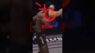 *BOOM!*👀Joe Rogan REACTS to Alex Pereira KNOCKOUTS! | MMA HIGHLIGHTS [2025]