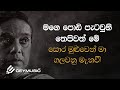 Aurudu Dedahas අවුරුදු දෙදහස් පන්සීයක් Dr Nanda Malini Pro