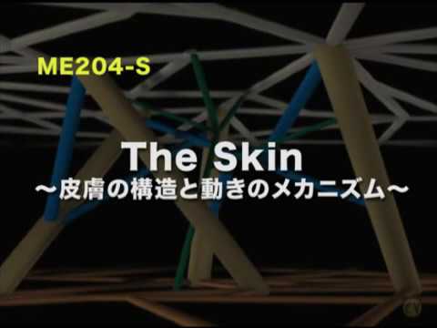 スファエロマチ科について詳しく解説