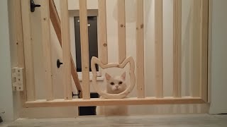 Making Baby Gate / Baby Gate With Door For Cat DIY