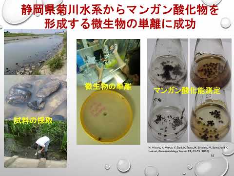 食品生命科学科 静岡県立大学食品栄養科学部オープンキャンパス2025　オンライン講義「レアメタル資源問題と微生物によるリサイクル」